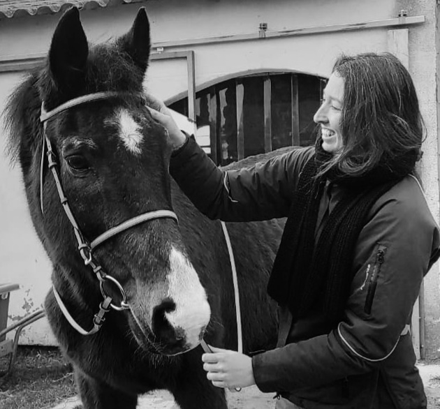 Accueil sellerie de chiron