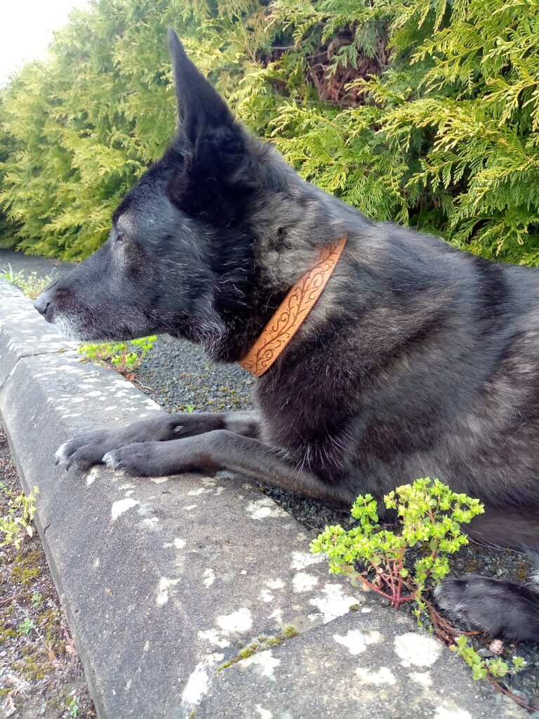 Collier embossage Nana