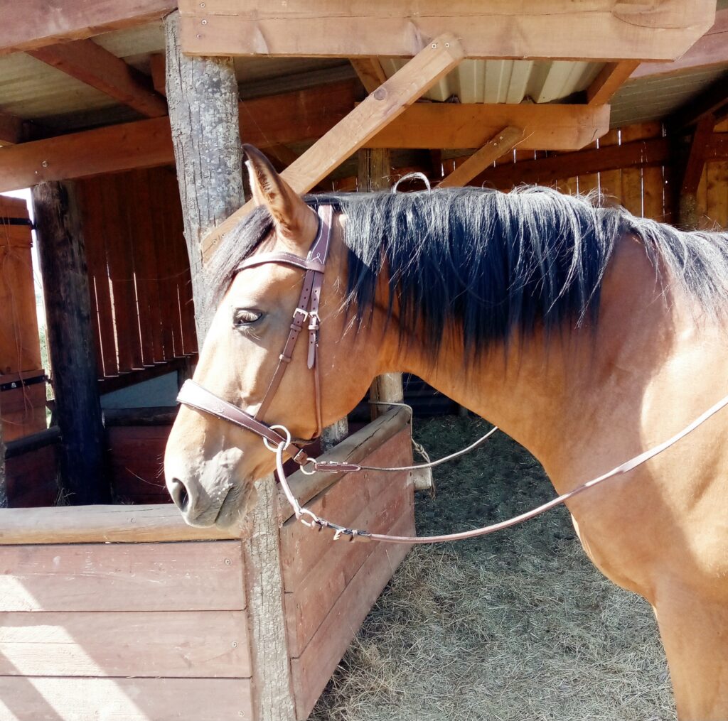 La Sellerie de Chiron - Cross pull Vol