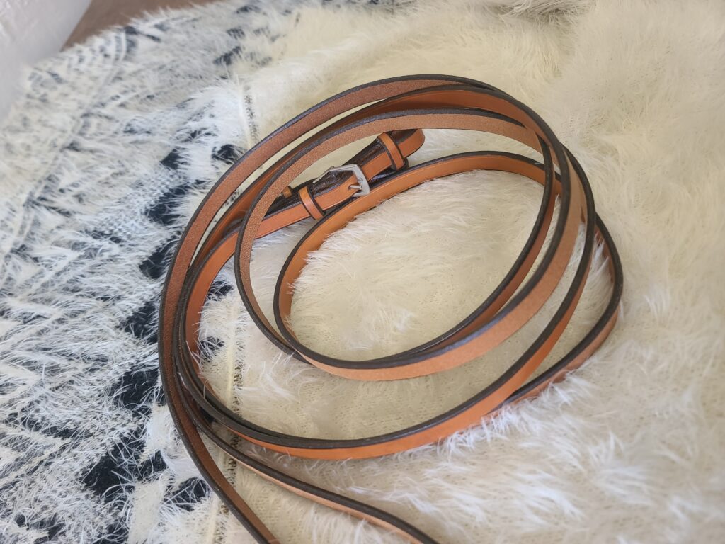 Rênes lisses 1