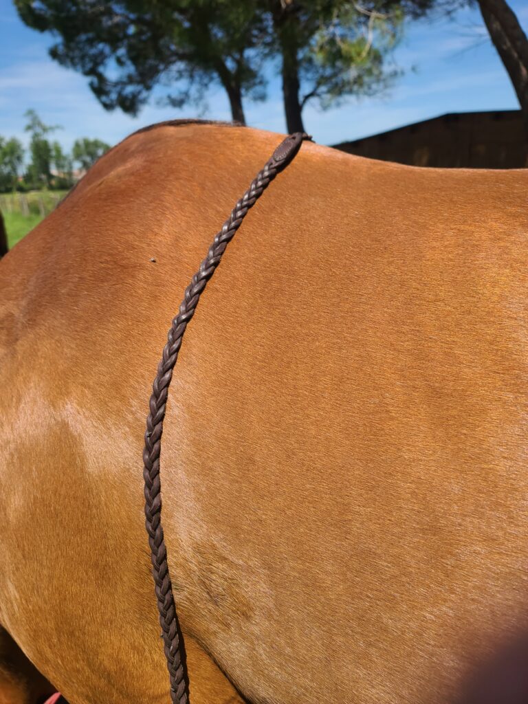 renes tresses 3